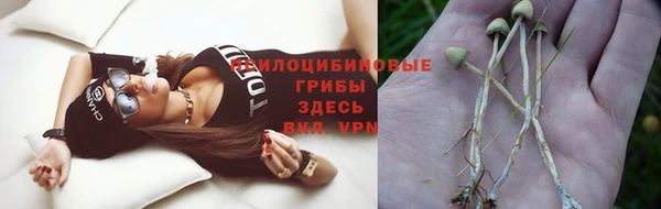 прущий лед Алексин