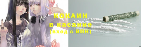 ECSTASY Алзамай