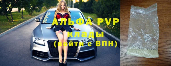 ECSTASY Алзамай