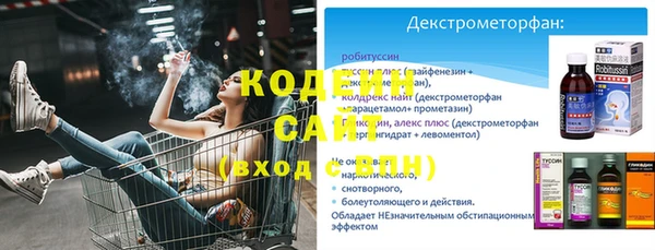 ECSTASY Алзамай